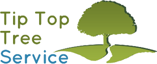 tip top tree service